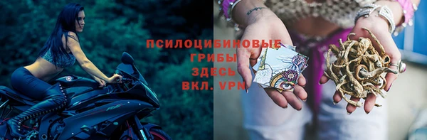 таблы Алзамай