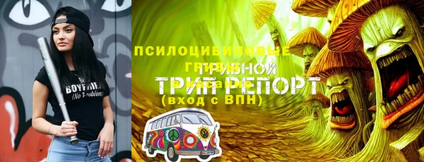 таблы Алзамай