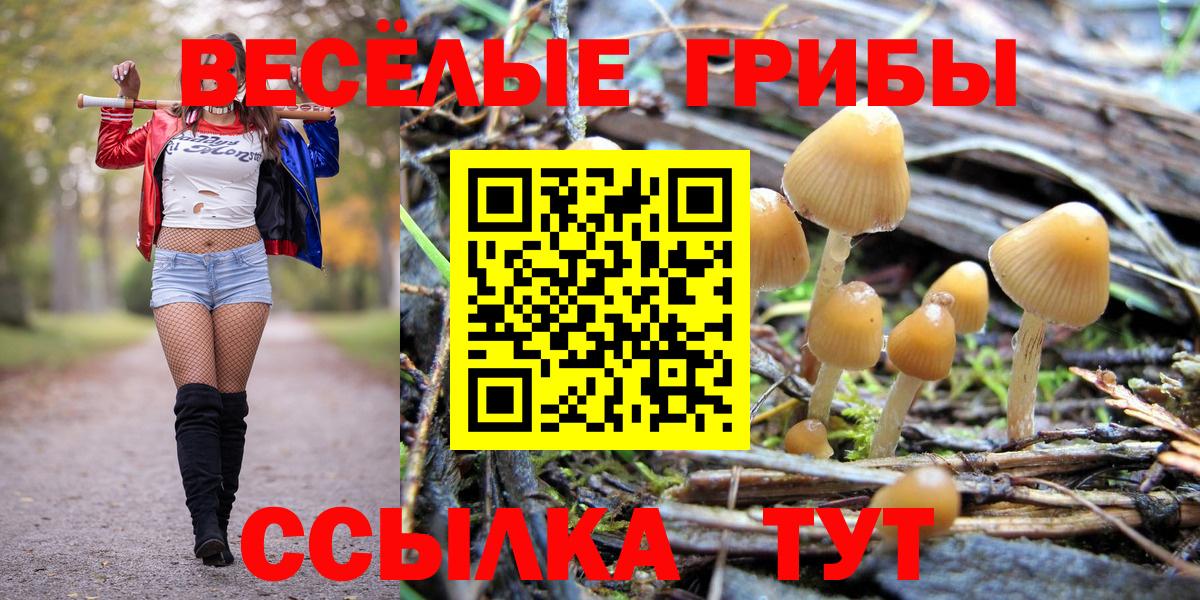 Галлюциногенные грибы ЛСД Южно-Сахалинск