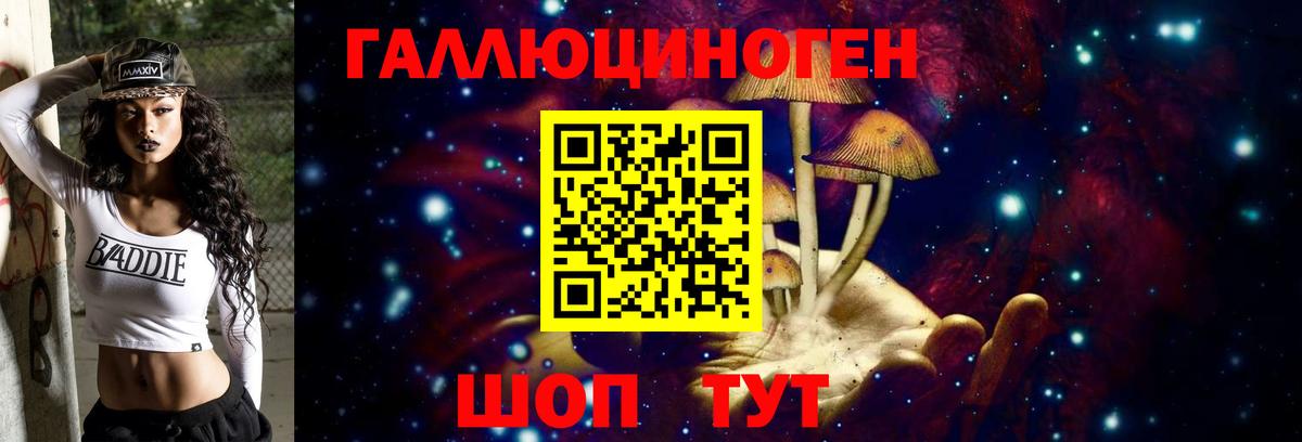Южно-Сахалинск  Псилоцибиновые грибы Psilocybine cubensis  Вход с VPN 